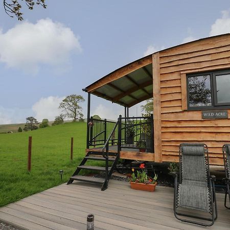 Wild Acre Villa Llangadog Kültér fotó