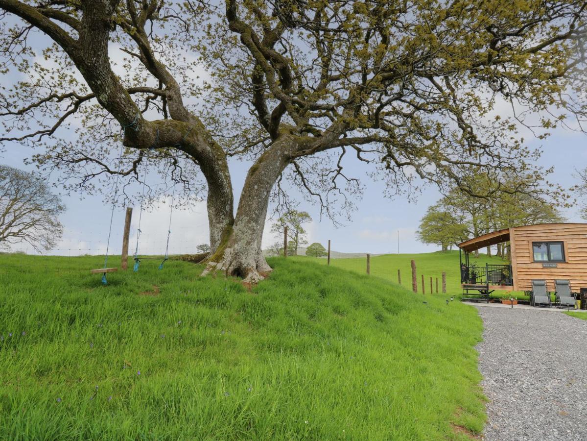 Wild Acre Villa Llangadog Kültér fotó